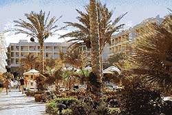 Хургада, курорты Египта, Отель Sea Star Bue Rivage