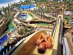  Wild Wadi        