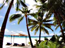   Red Coconut Beach Resort
