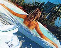  .  .  Le Palm. 