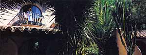 . .  le Palm